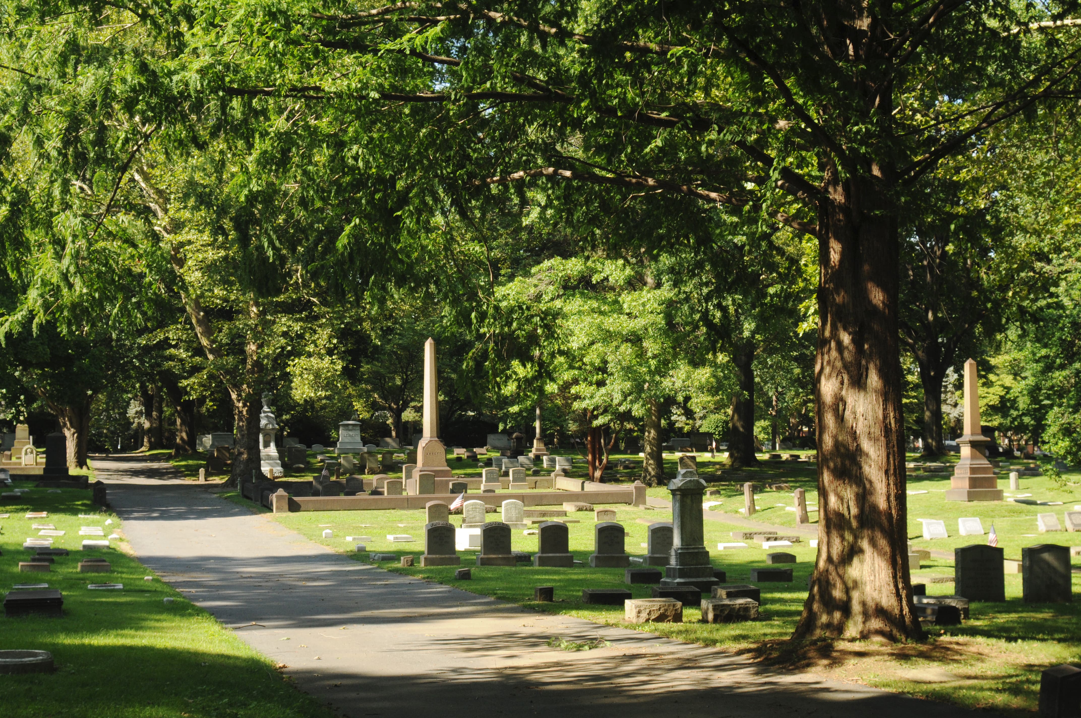 Pathway in Nisky Hill Cemetery
